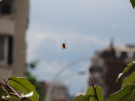 20100813 152955